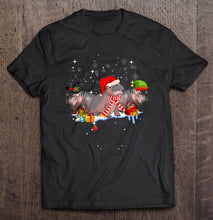 Load image into Gallery viewer, Hippo Fiona Cute Christmas T-Shirt, Ladies T-Shirt,  Sweatshirt, Hoodie 2D
