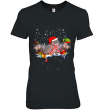 Load image into Gallery viewer, Hippo Fiona Cute Christmas T-Shirt, Ladies T-Shirt,  Sweatshirt, Hoodie 2D
