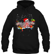 Load image into Gallery viewer, Hippo Fiona Cute Christmas T-Shirt, Ladies T-Shirt,  Sweatshirt, Hoodie 2D
