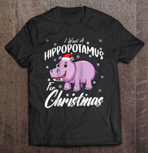 Load image into Gallery viewer, I Want A Hippopotamus For Christmas T-Shirt, Ladies T-Shirt, LongSleeve, Sweatshirt, Hoodie 2D
