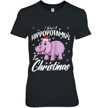 Load image into Gallery viewer, I Want A Hippopotamus For Christmas T-Shirt, Ladies T-Shirt, LongSleeve, Sweatshirt, Hoodie 2D
