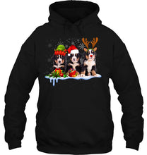 Load image into Gallery viewer, Bernese Mountain Dog Christmas Cute T-Shirt, Ladies T-Shirt,  Sweatshirt, Hoodie 2D
