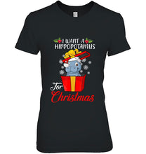 Load image into Gallery viewer, I Want A Hippopotamus For Christmas Hippopotamus Gift Xmas T-Shirt, Ladies T-Shirt,  Sweatshirt, Hoodie 2D
