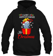 Load image into Gallery viewer, I Want A Hippopotamus For Christmas Hippopotamus Gift Xmas T-Shirt, Ladies T-Shirt,  Sweatshirt, Hoodie 2D
