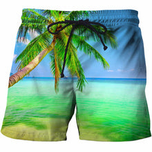 Load image into Gallery viewer, Mens Beach 3D Dry Summer Printed Shorts Gym Fitness Running For Summer Men's Cool Sport Short Pants 3D Swim Trunks
