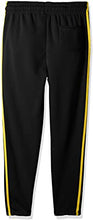Load image into Gallery viewer, NFL Football Pittsburgh Steelers Mens Jogger Pants Sweatpants 3D Top Trend Branding Limited Edition

