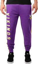 Load image into Gallery viewer, NFL Football Minnesota Vikings Mens Jogger Pants Sweatpants 3D Top Trend Branding Limited Edition
