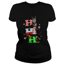 Load image into Gallery viewer, CATS HO HO HO MERRY CHRISTMAS T-Shirt, Ladies T-Shirt, LongSleeve, Sweatshirt, Hoodie 2D
