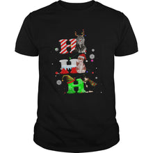 Load image into Gallery viewer, CATS HO HO HO MERRY CHRISTMAS T-Shirt, Ladies T-Shirt, LongSleeve, Sweatshirt, Hoodie 2D

