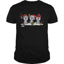 Load image into Gallery viewer, Cute Santa Cat Merry Christmas Cat 2020 T-Shirt, Ladies T-Shirt, LongSleeve, Sweatshirt, Hoodie 2D
