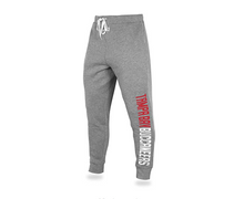Load image into Gallery viewer, NFL Men's Tampa Bay Buccaneers Football Team Summer Beach Men Cool Shorts Sweatpants 3D
